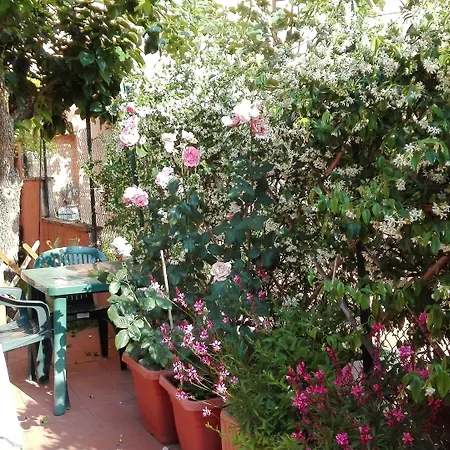 Al Giardino Di Alice B&B-2